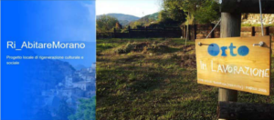 sfondo intervento 6 - l'orto incolto